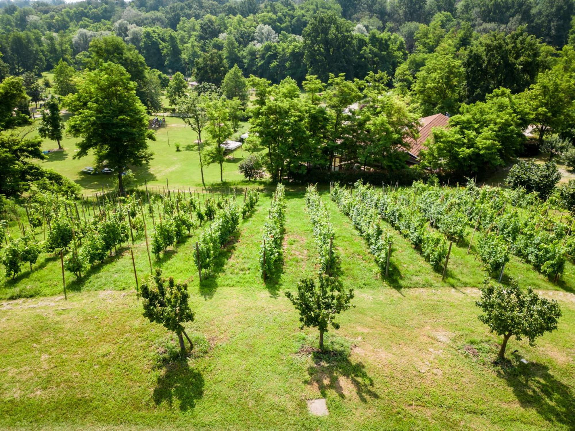 Agriturismo Parco Campofelice Lombardore Экстерьер фото
