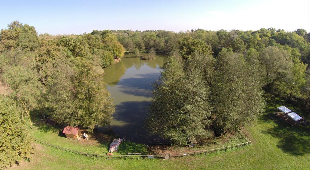 Agriturismo Parco Campofelice Lombardore Экстерьер фото